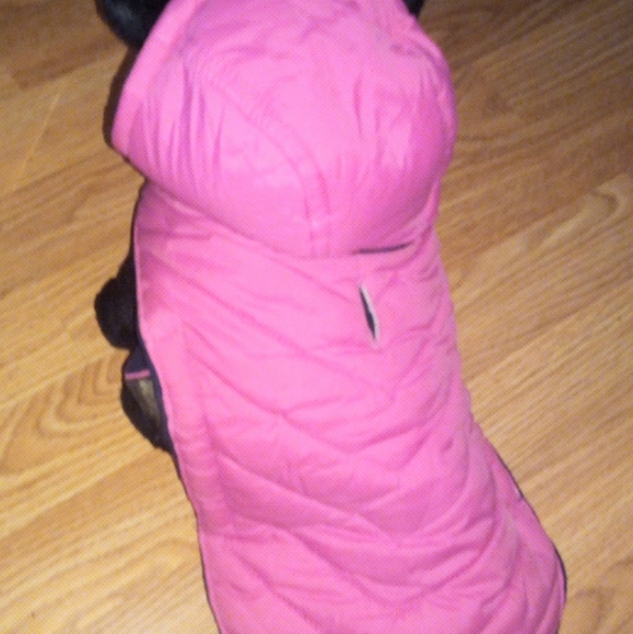 XS dog puffy hooded coat - Picture 4 of 5